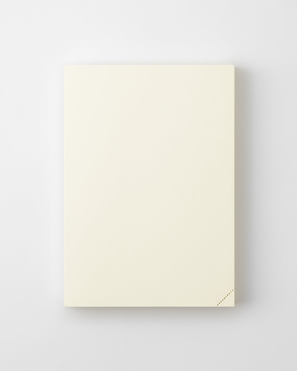 Midori MD Defter Journal Codex [A5, Çizgisiz] - 1 Day 1 Page