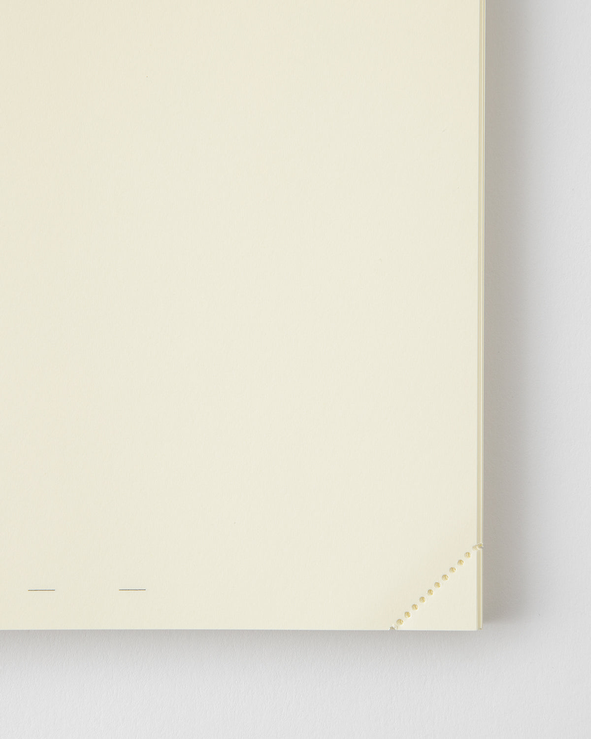 Midori MD Defter Journal Codex [A5, Çizgisiz] - 1 Day 1 Page