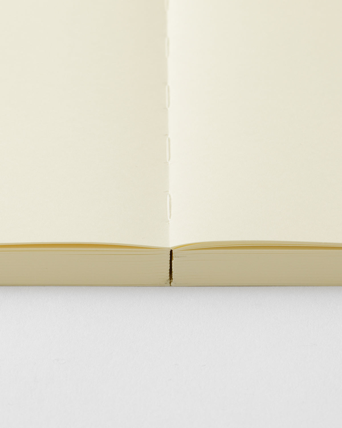 Midori MD Defter Journal Codex [A5, Çizgisiz] - 1 Day 1 Page
