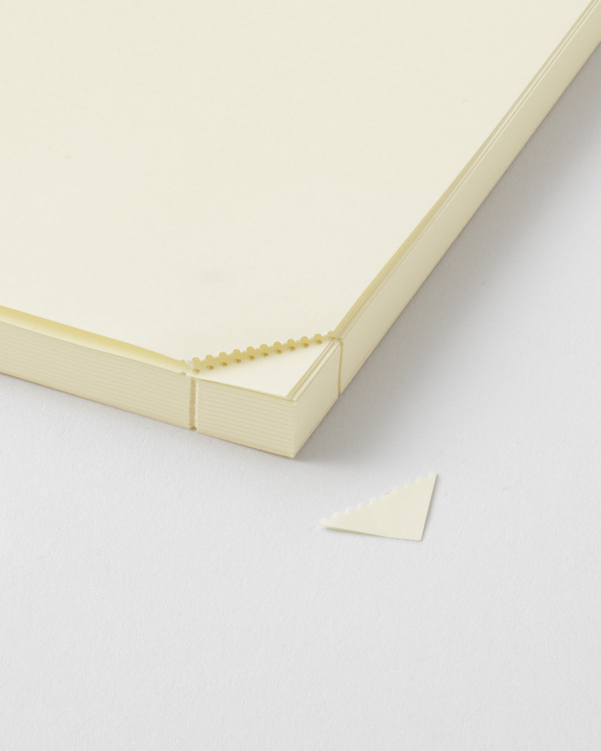 Midori MD Defter Journal Codex [A5, Çizgisiz] - 1 Day 1 Page