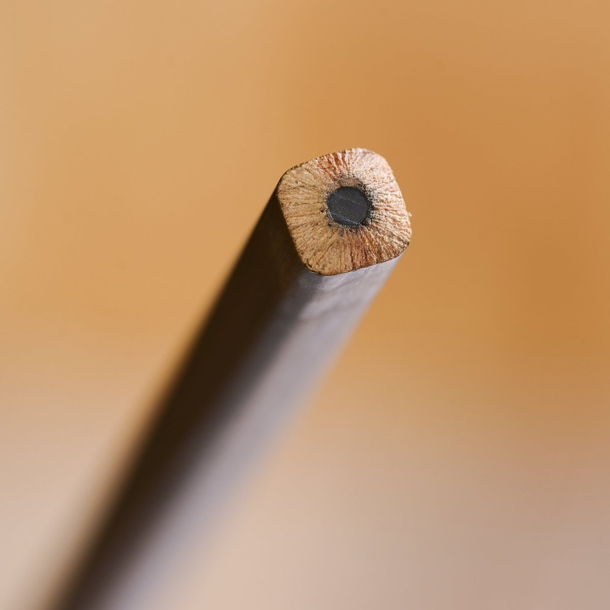 Blackwing Kurşun Kalem - Volume 21 - (12'li Set)