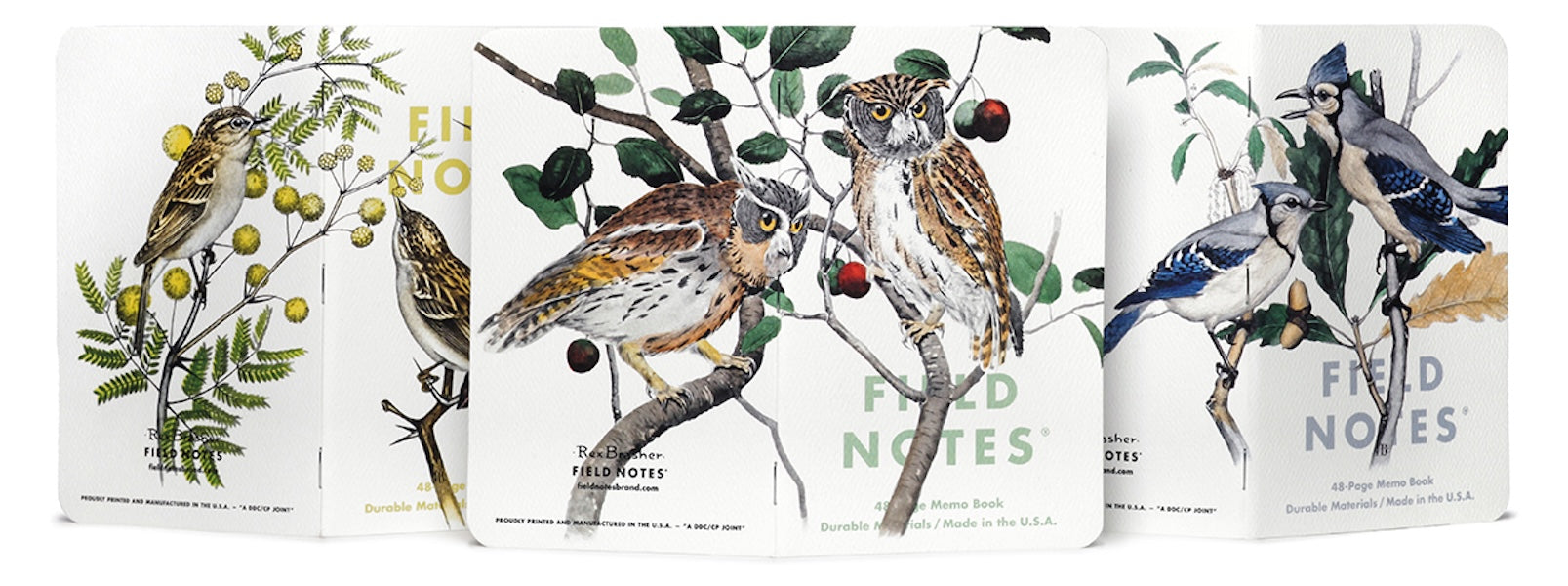 Field Notes Cep Boyu Defter, Çizgili 3'lü Set - Birds &amp; Trees A