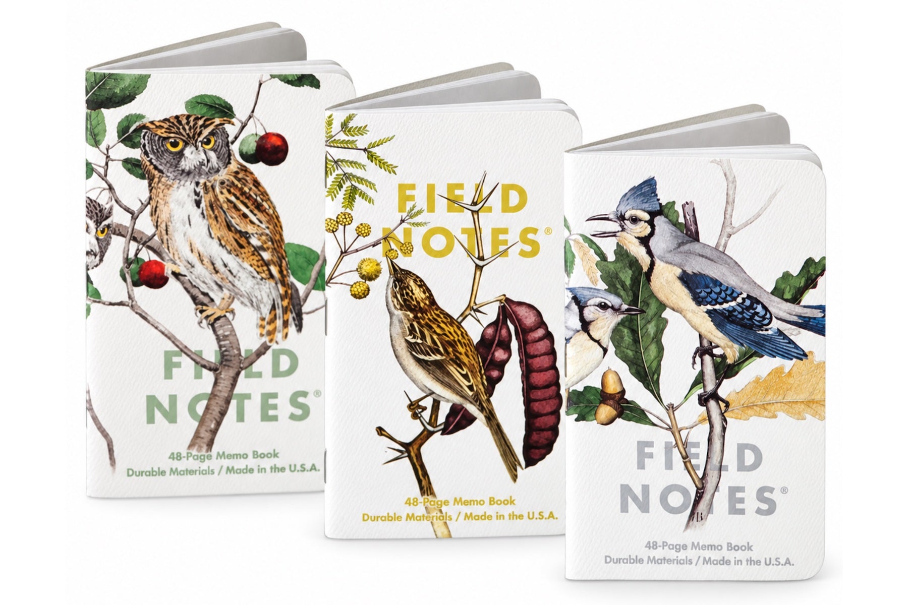 Field Notes Cep Boyu Defter, Çizgili 3'lü Set - Birds &amp; Trees A