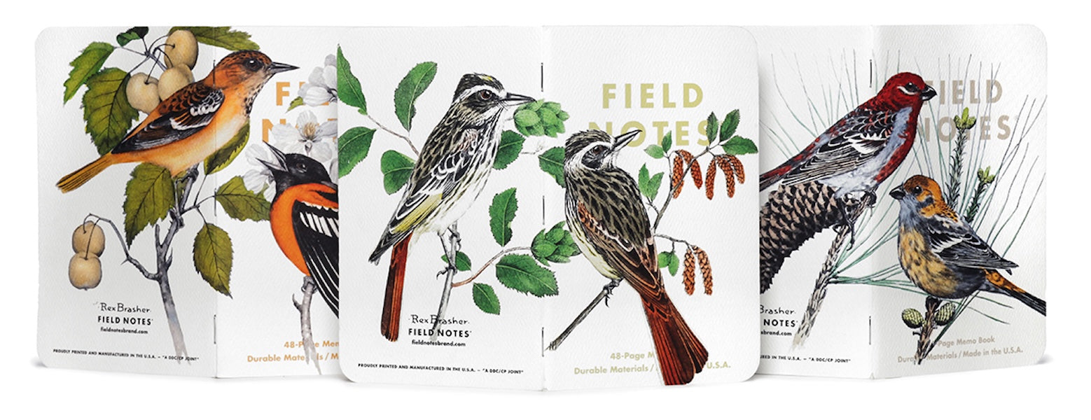 Field Notes Cep Boyu Defter, Çizgili 3'lü Set - Birds &amp; Trees B