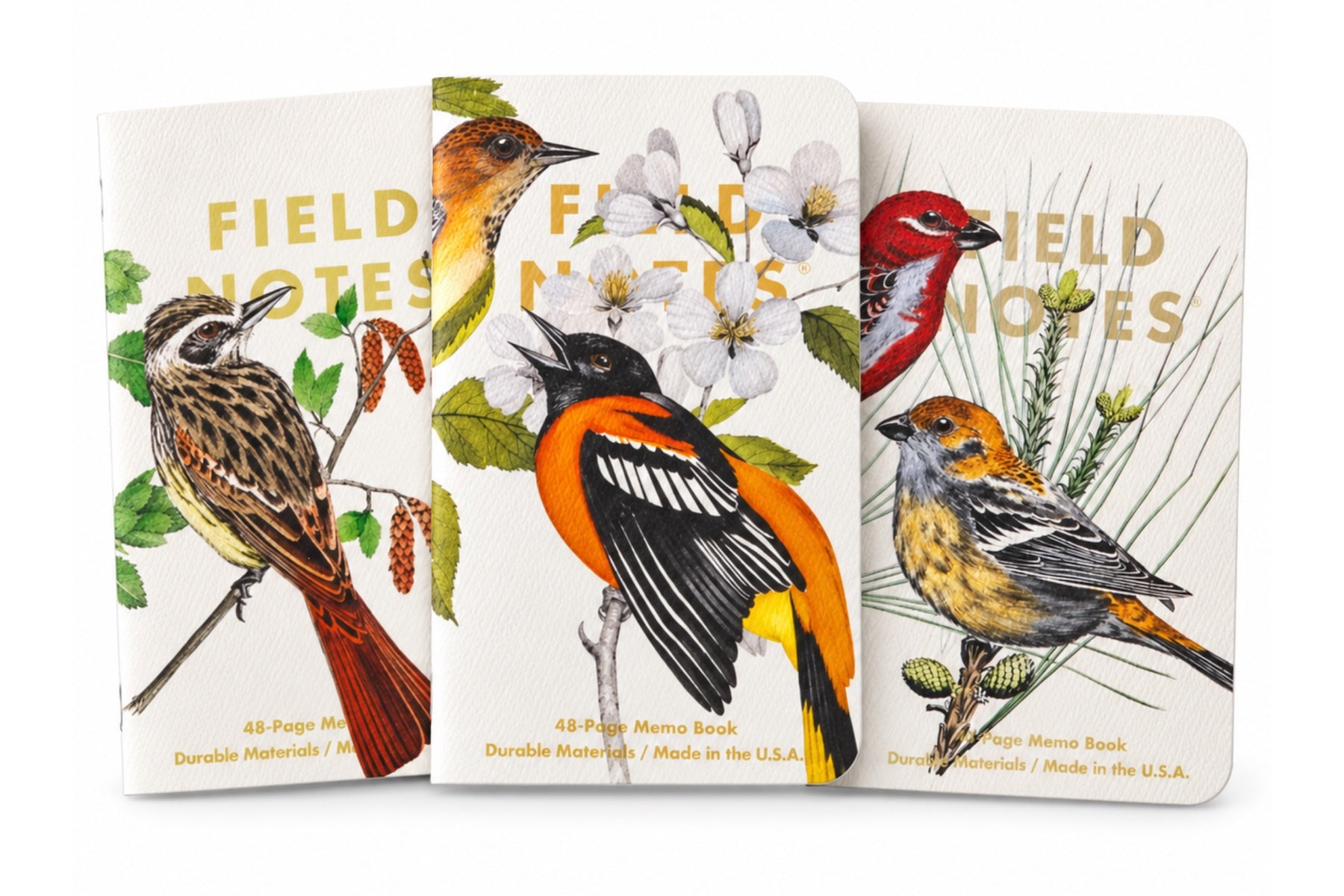 Field Notes Cep Boyu Defter, Çizgili 3'lü Set - Birds &amp; Trees B