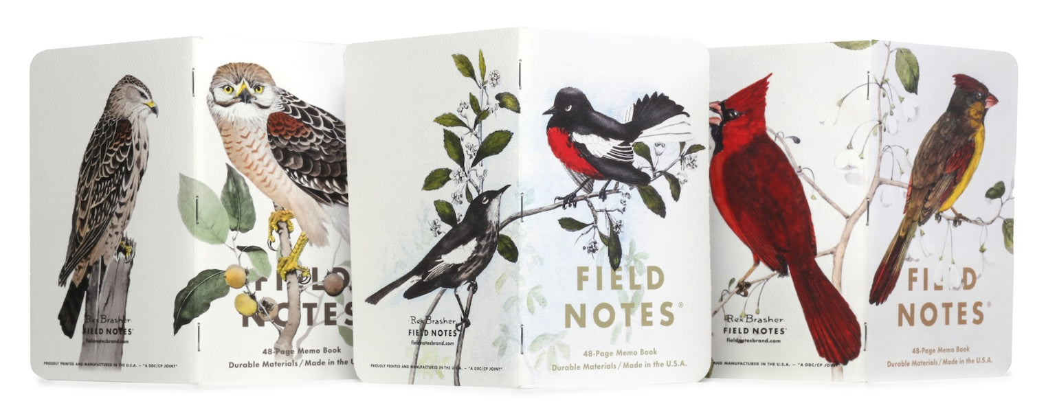 Field Notes Cep Boyu Defter, Çizgili 3'lü Set - Birds &amp; Trees C