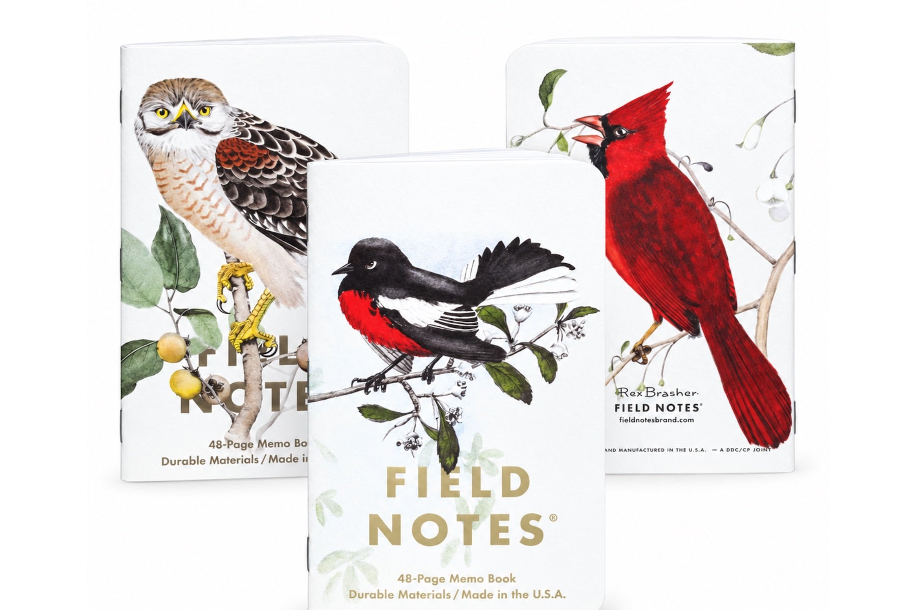 Field Notes Cep Boyu Defter, Çizgili 3'lü Set - Birds &amp; Trees C