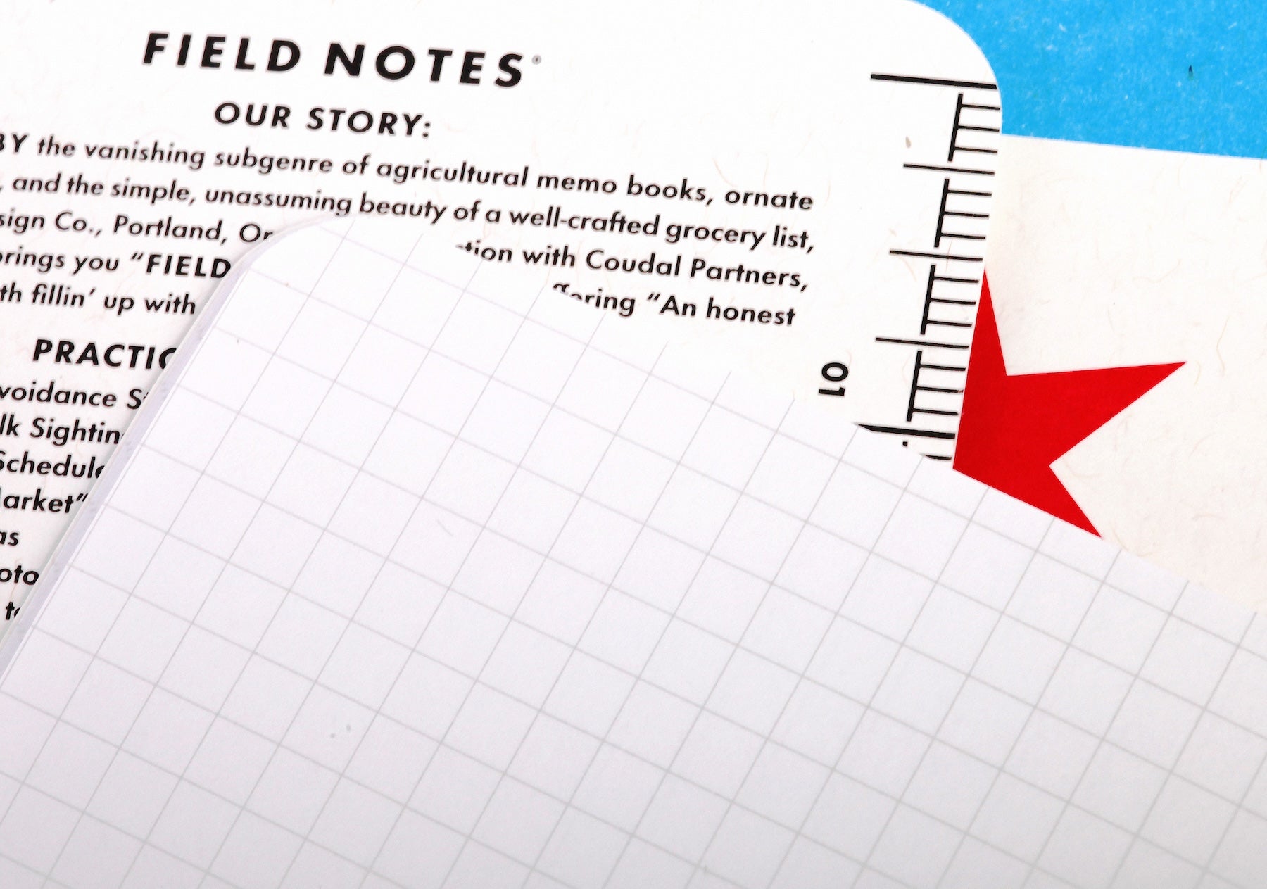 Field Notes Cep Boyu Defter, Kareli 3'lü Set - Chicago