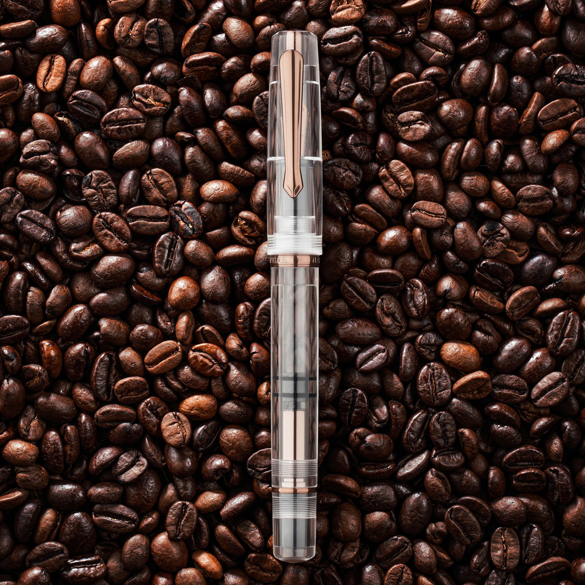 Nahvalur Original Fall Şeffaf Pistonlu Dolma Kalem