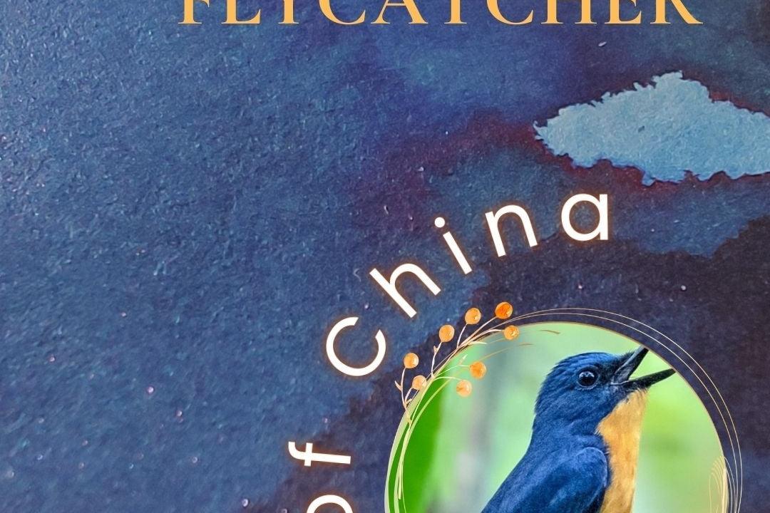 Shanghai Stationary Mürekkep - Blue Flycatcher - 30ml