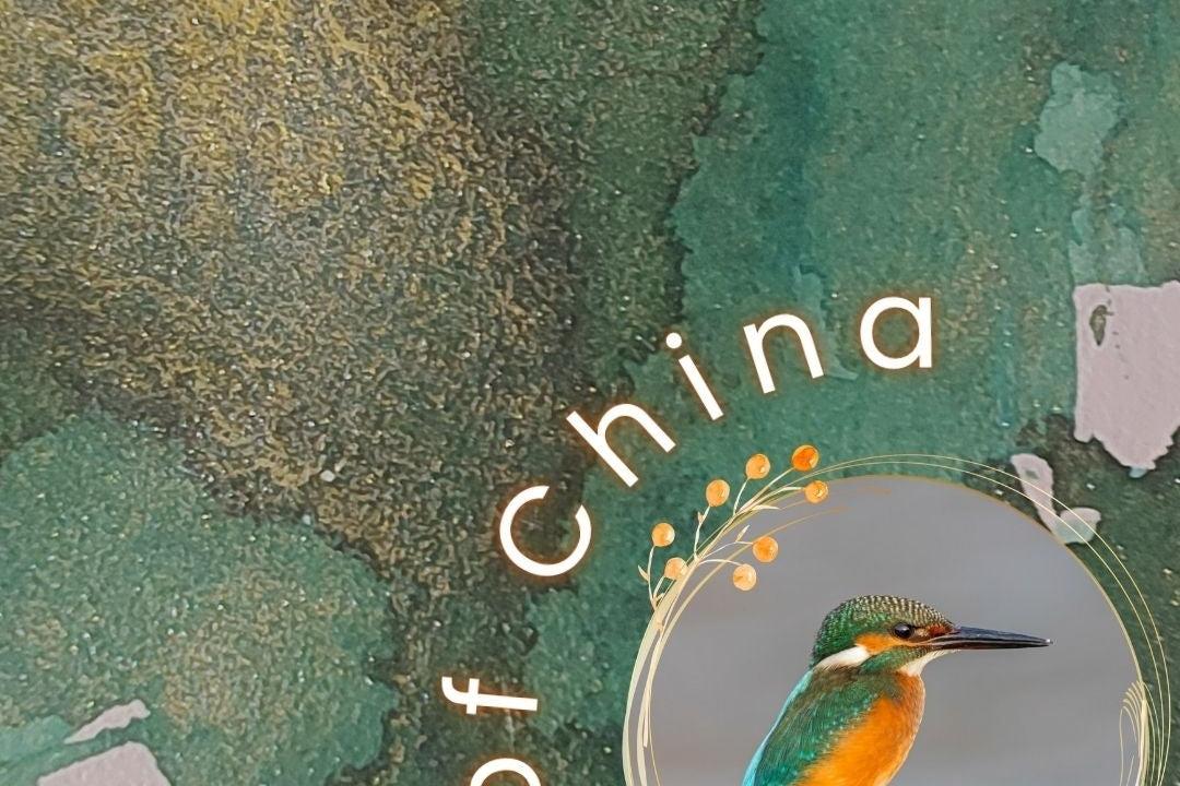 Shanghai Stationary Mürekkep - Feathers of Fei Cui - 30ml