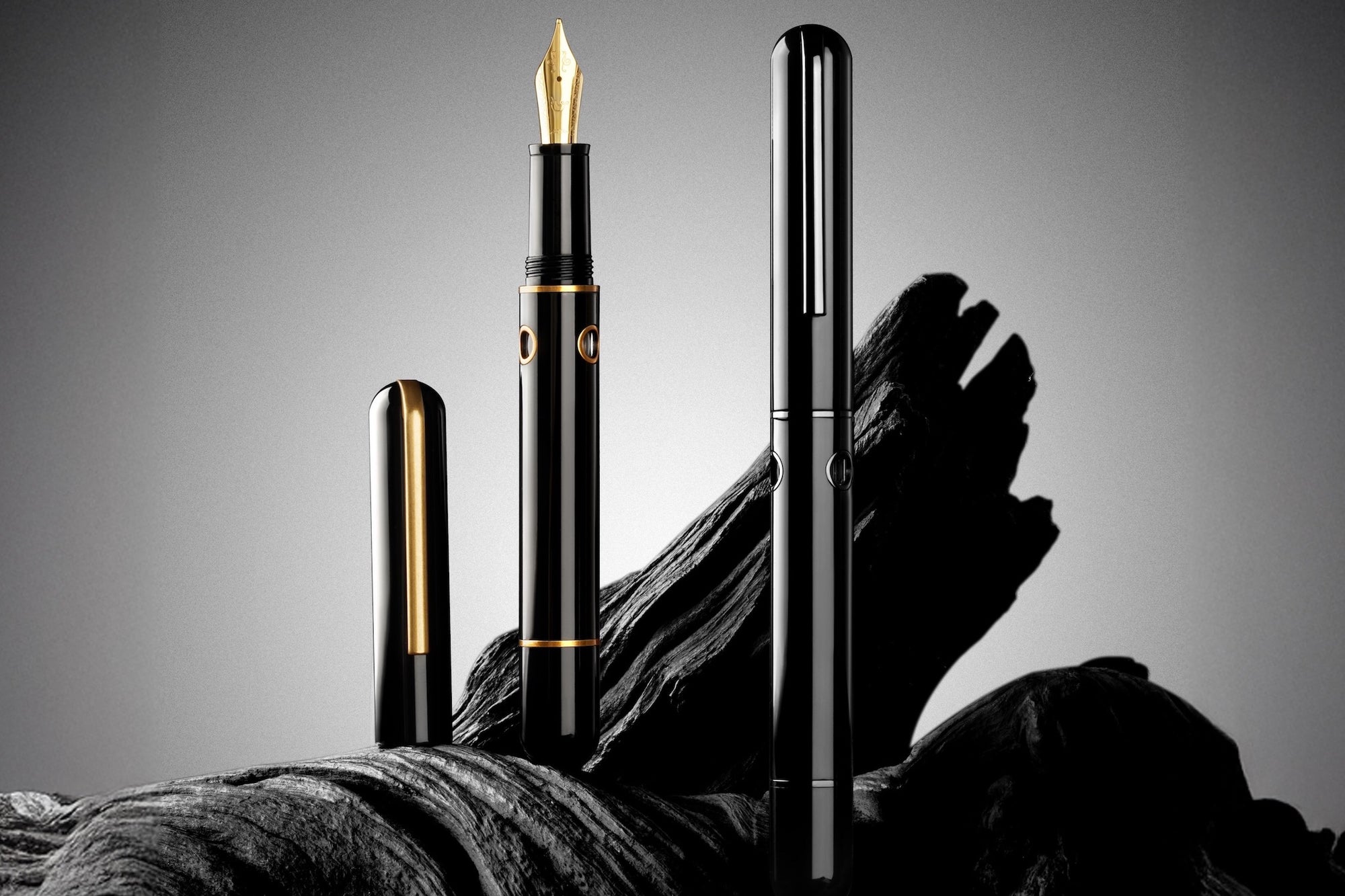 Nahvalur (Narwhal) Nautilus Bronze Corydoras Dolma Kalem