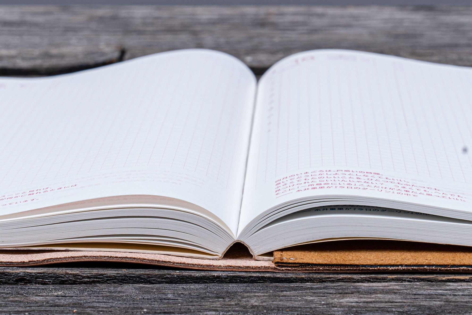 Deri Bağcıklı A5 Defter Kitap Kılıfı - Undyed Leather