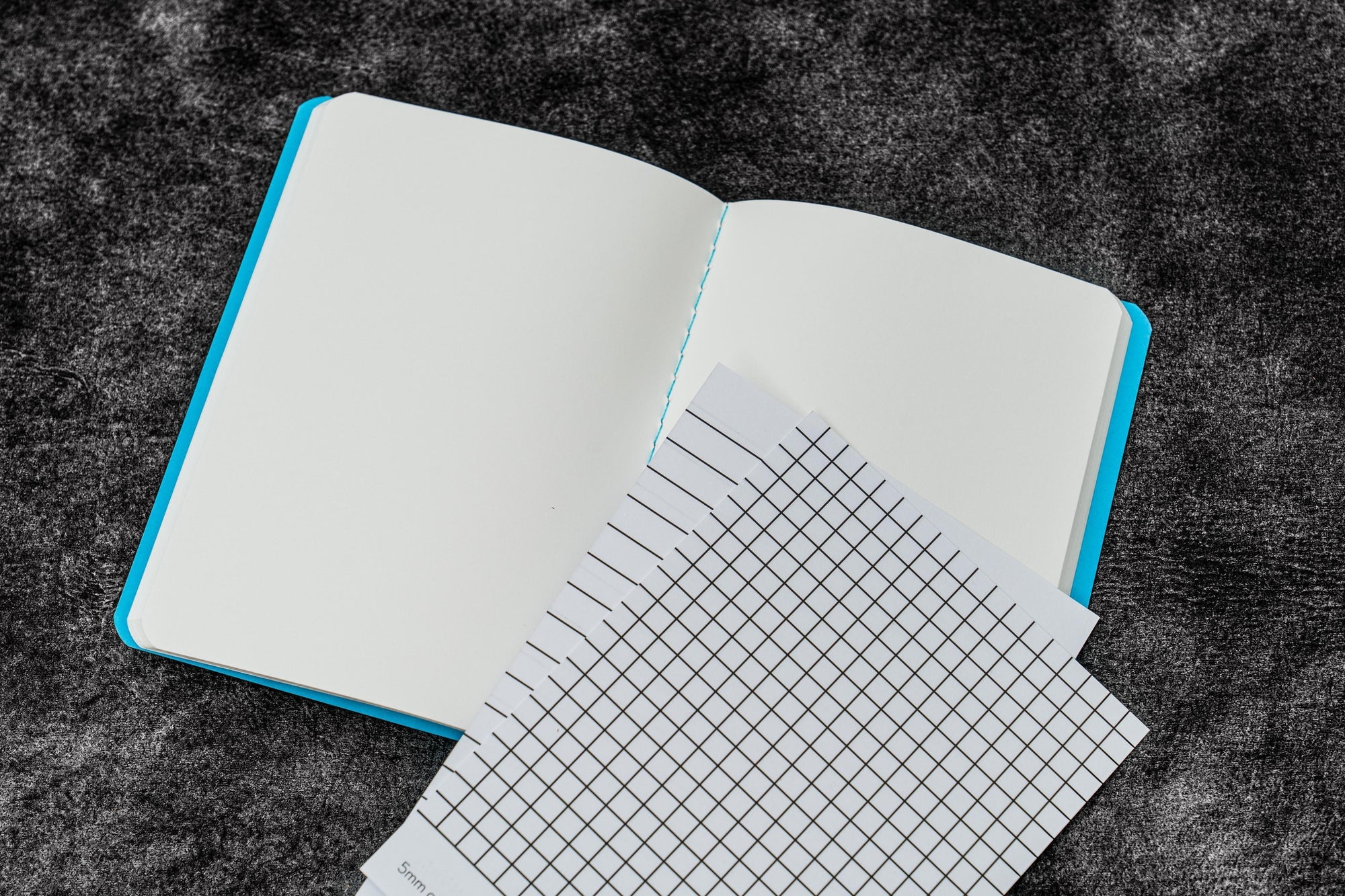 The EveryDay Book - Tomoe River Kağıt - Pasaport Boy - 3&#39;lü Set