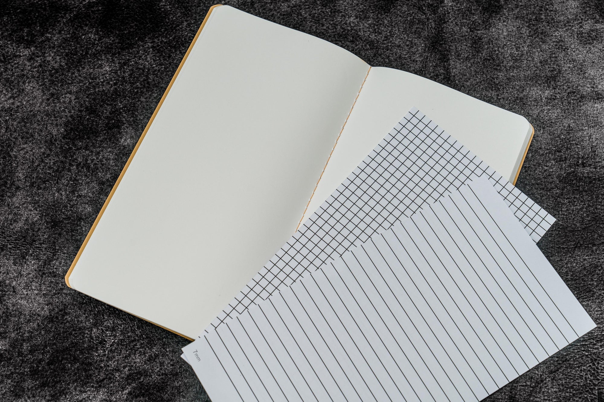 The EveryDay Book - Tomoe River Kağıt - Regular - 3&#39;lü Set